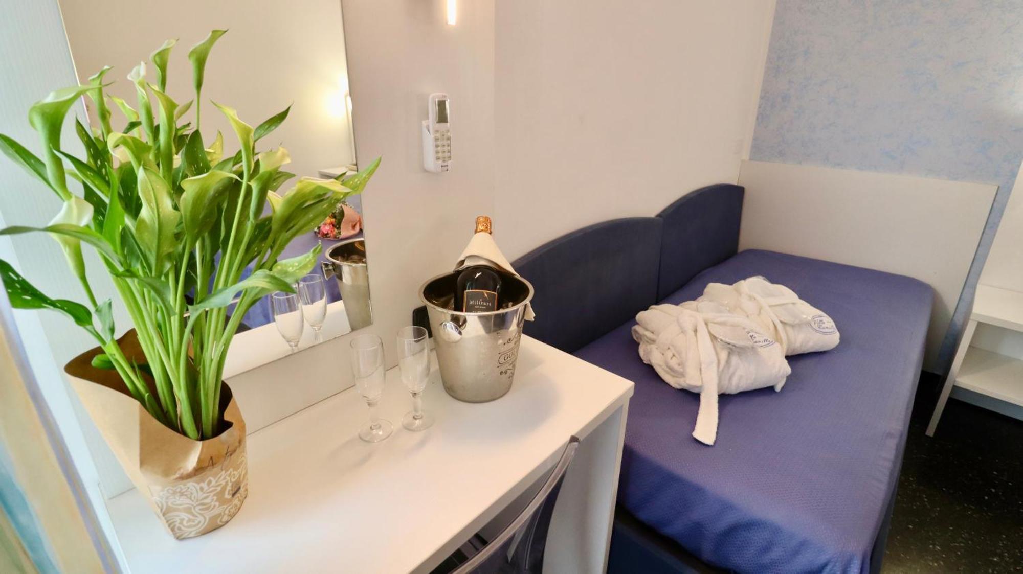 Camilla Hotel 3*